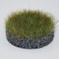 Preview: Grass flock – hay