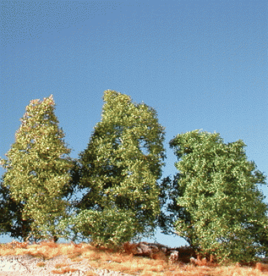 filigree bush (1:160-220) summer