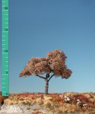 Appletree (1:87) late fall