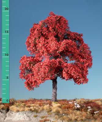 Maple (1:87) late fall (red)