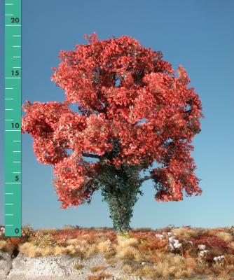 Maple tree overgrown with ivy (1:87) late fall (red)