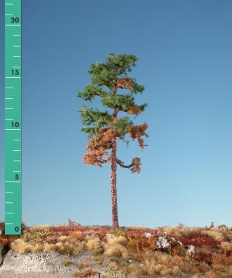Weathered forest pine (1:87) summer