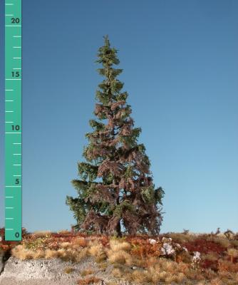 Weathered green spruce (1:160-220) summer