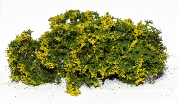 Flowering shrubs - Yellow