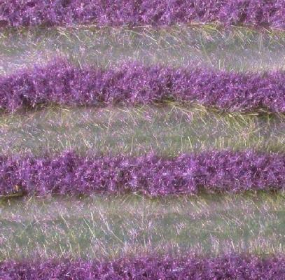 Lavendelfeld-Streifen, ca. 336 cm (1:87) Sommer