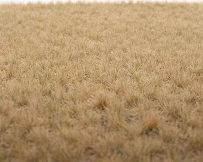 Tufts of late autumn grass