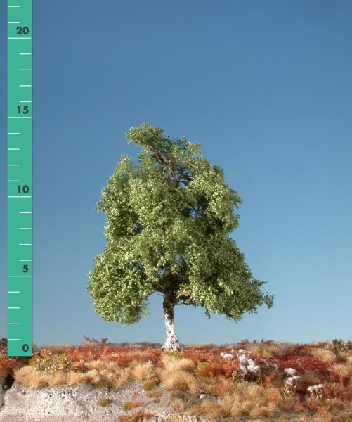 Moor birch (1:87) summer