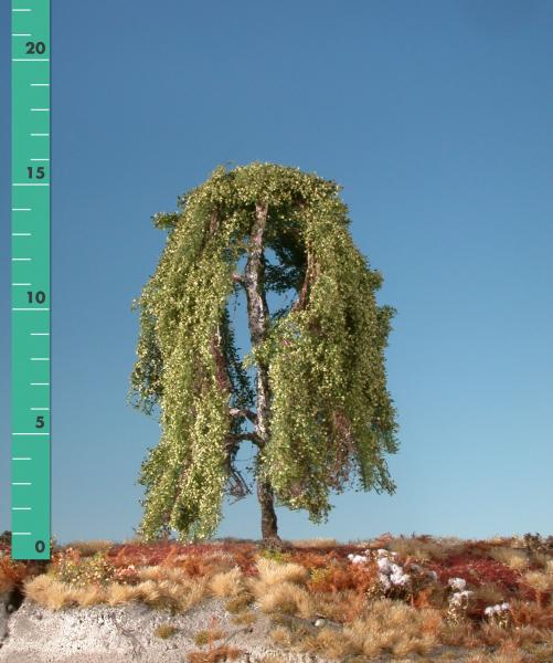 Weeping birch (1:87) summer