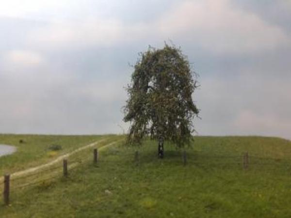 Frühherbst