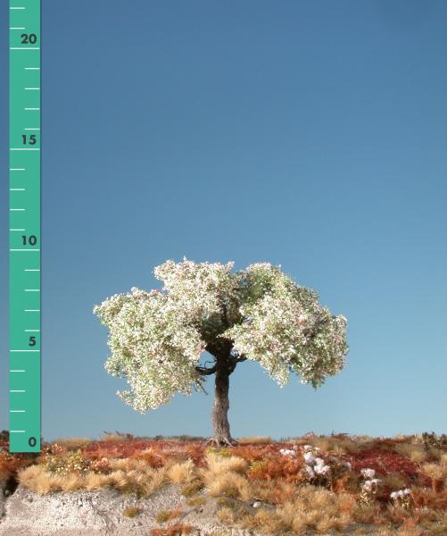 Appletree (1:87) spring