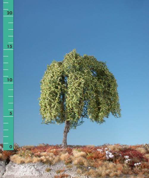 Weeping willow (1:87) early fall