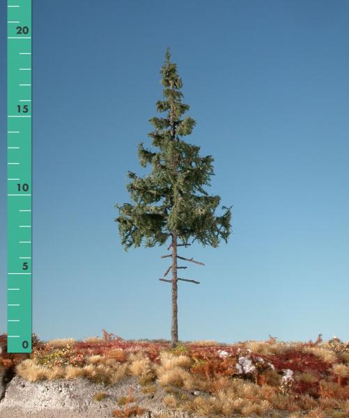 Green spruce high trunk kit (1:87) summer
