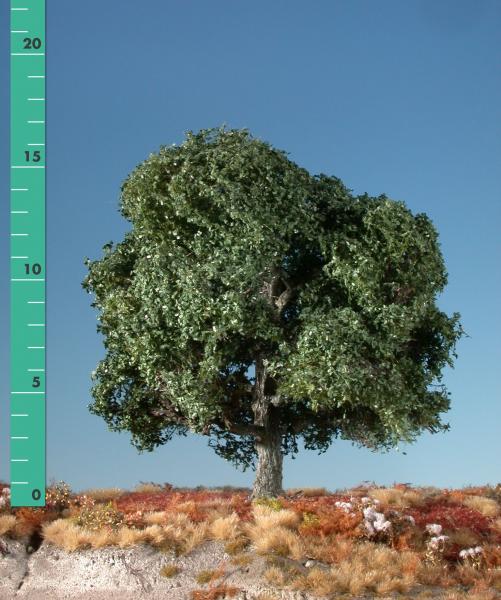 Oak tree (1:87) summer