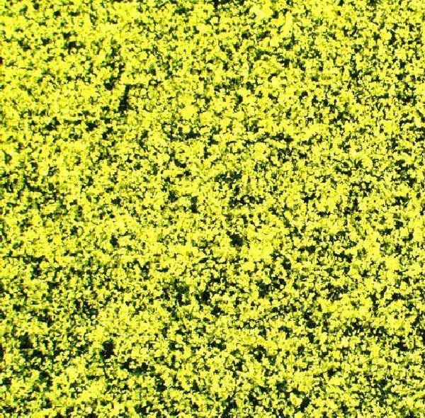 Rape-seed field (1:87) summer