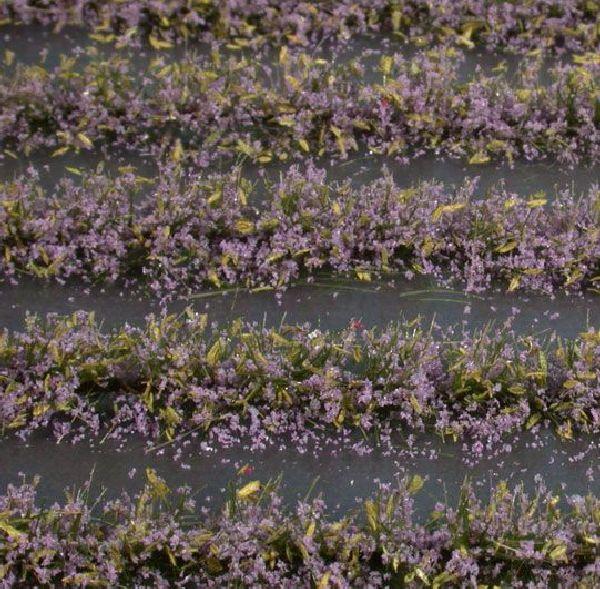 Flower field strips (1:87) violet