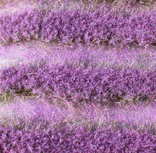 Lavendelfeld-Streifen, ca. 252 cm (1:45+) Sommer