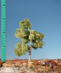 Moor birch (1:87) early fall