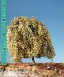 Weeping willow (1:87) late fall