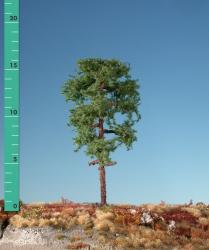Forest pine (1:160-220) summer