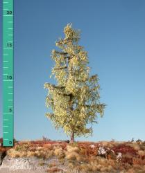 Larch (1:87) early fall