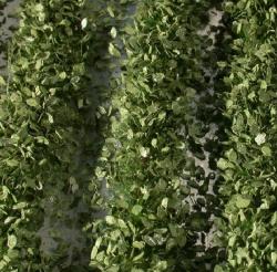 Agrarstreifen mit Blättern, ca. 231 cm (1:45+) Sommer